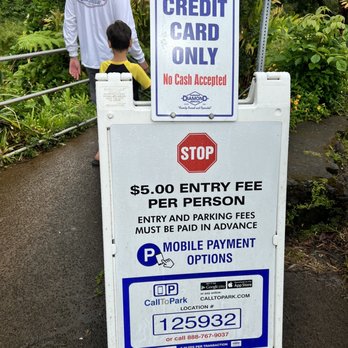 Akaka Falls State Park - Parks Near Me - Honomu, Hawaii