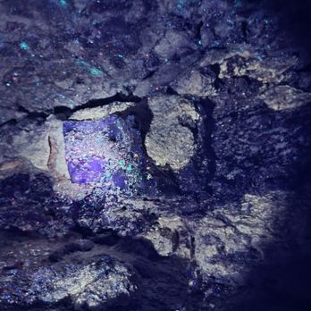 Stark Caverns - Rock formation with blacklight. - Parks Near Me - Eldon, Missouri Stark Caverns - Rock formation with blacklight. - Parks Near Me - Eldon, Missouri