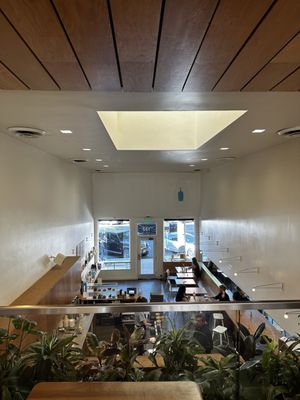 Blue Bottle Coffee by null