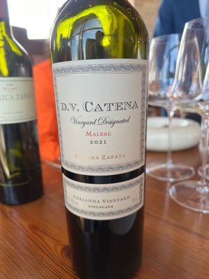 Catena Zapata by null