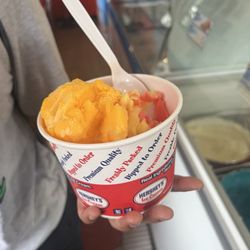 Squirrleys Ice Cream