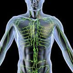Living Energy Center - Living Energy Center- detoxify your lymphatic system