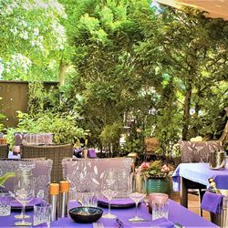 Morellino - Terrasse