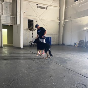 Fidelis K9 Training - Pet Training Near Me - Orangevale, California