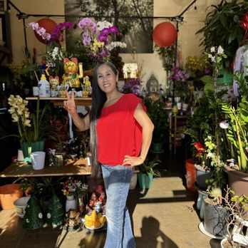 Smile Buddha Orchids - Florists Near Me - Westminster, California Smile Buddha Orchids - Florists Near Me - Westminster, California