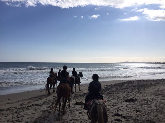 Santa Barbara Beach Horseback Rides 101 Photos 72 Reviews Santa Barbara Beach Horseback Rides