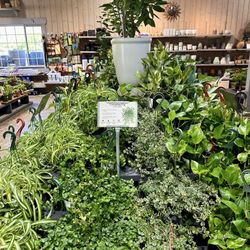 Armstrong Garden Centers
