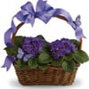 Yelenna's Flowers gift card