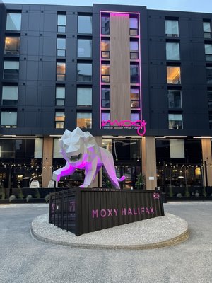 Moxy Halifax Downtown by null