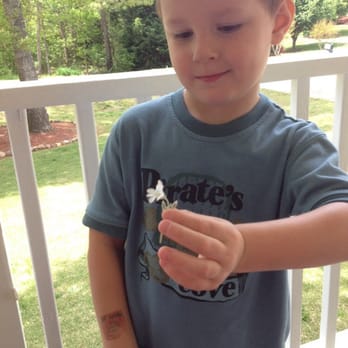 Hibachi & Grill Asian Buffet - My grandson Lex... - Sushi Bars Near Me - Seneca, South Carolina