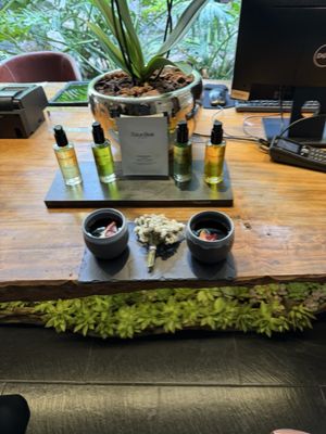 Live Aqua San Miguel de Allende by null