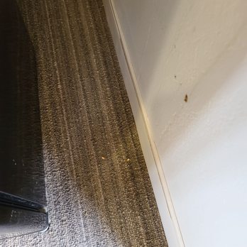 Fogcatcher Inn - Floor and wall by the fridge/front door - Hotels Near Me - Cambria, California Fogcatcher Inn - Floor and wall by the fridge/front door - Hotels Near Me - Cambria, California
