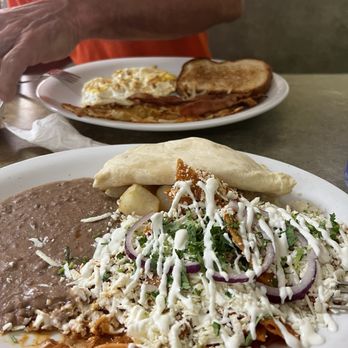 Cactus Bloom Cocina - Tex-Mex Near Me - Seguin, Texas