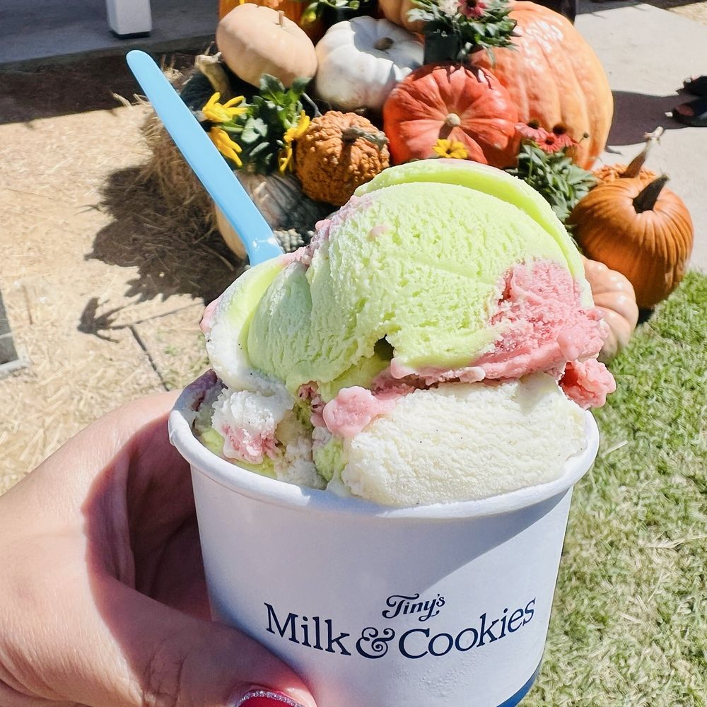 Tinys Milk & Cookies - Ice cream and pumpkin decor - Coffee & Tea Near Me - Houston, Texas Tinys Milk & Cookies - Ice cream and pumpkin decor - Coffee & Tea Near Me - Houston, Texas