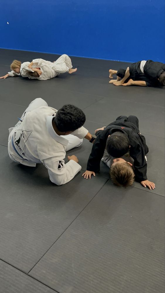 Bay Area Capoeira & Jiujitsu Logo