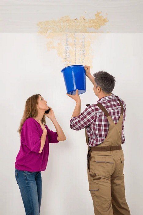 702 Restoration Water & Flood - mold inspector in Las Vegas, NV