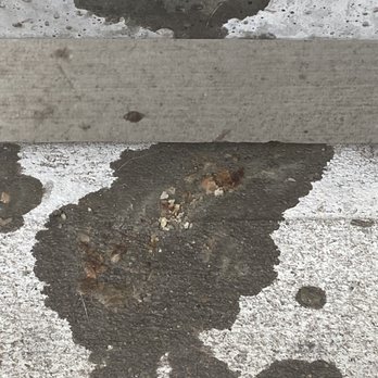 Park at Bayside Apartments - Vomit on the stairs baked in from lack of cleanup - Apartments Near Me - Rowlett, Texas