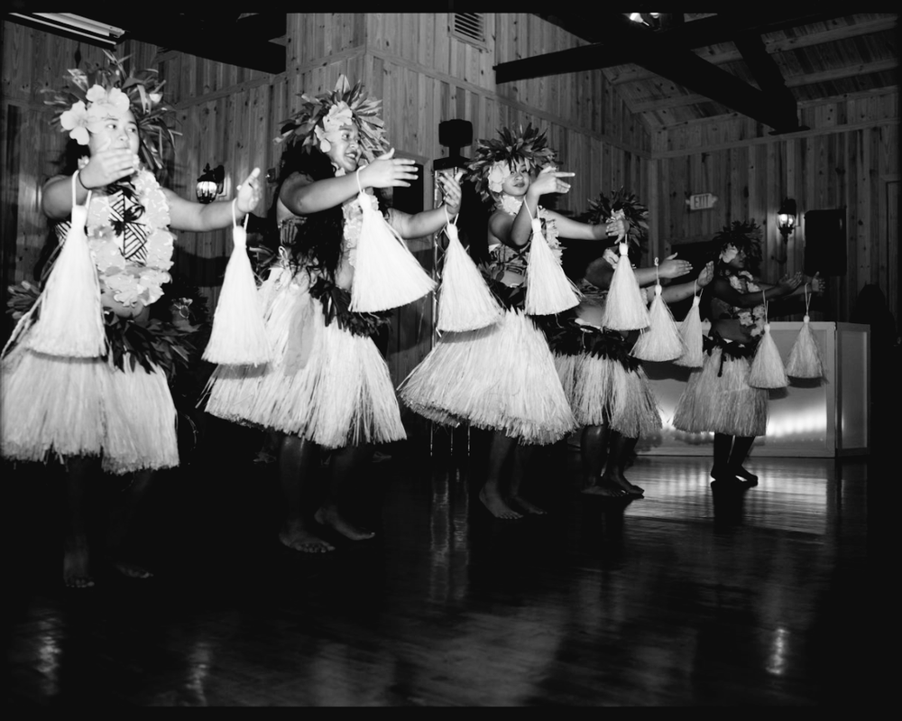 Toloa Polynesian Dance Logo