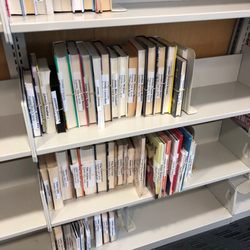 Village Regional Library - Books on hold