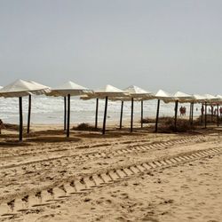 Playa Guardamar Centro