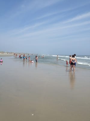 Stone Harbor by null