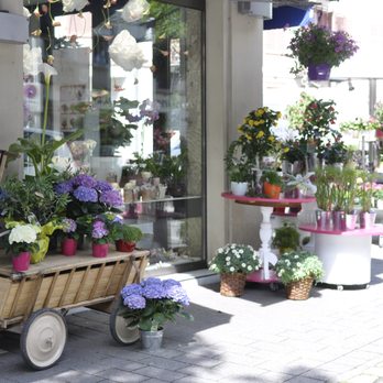 Blumstein - Florists Near Me - Strasbourg, 67 Blumstein - Florists Near Me - Strasbourg, 67