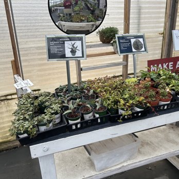 Highway 92 Succulents - Nurseries & Gardening Near Me - Half Moon Bay, California Highway 92 Succulents - Nurseries & Gardening Near Me - Half Moon Bay, California
