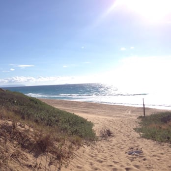 Polihale Beach State Park - Parked and walked the rest of the way - Parks Near Me - Waimea, Hawaii Polihale Beach State Park - Parked and walked the rest of the way - Parks Near Me - Waimea, Hawaii