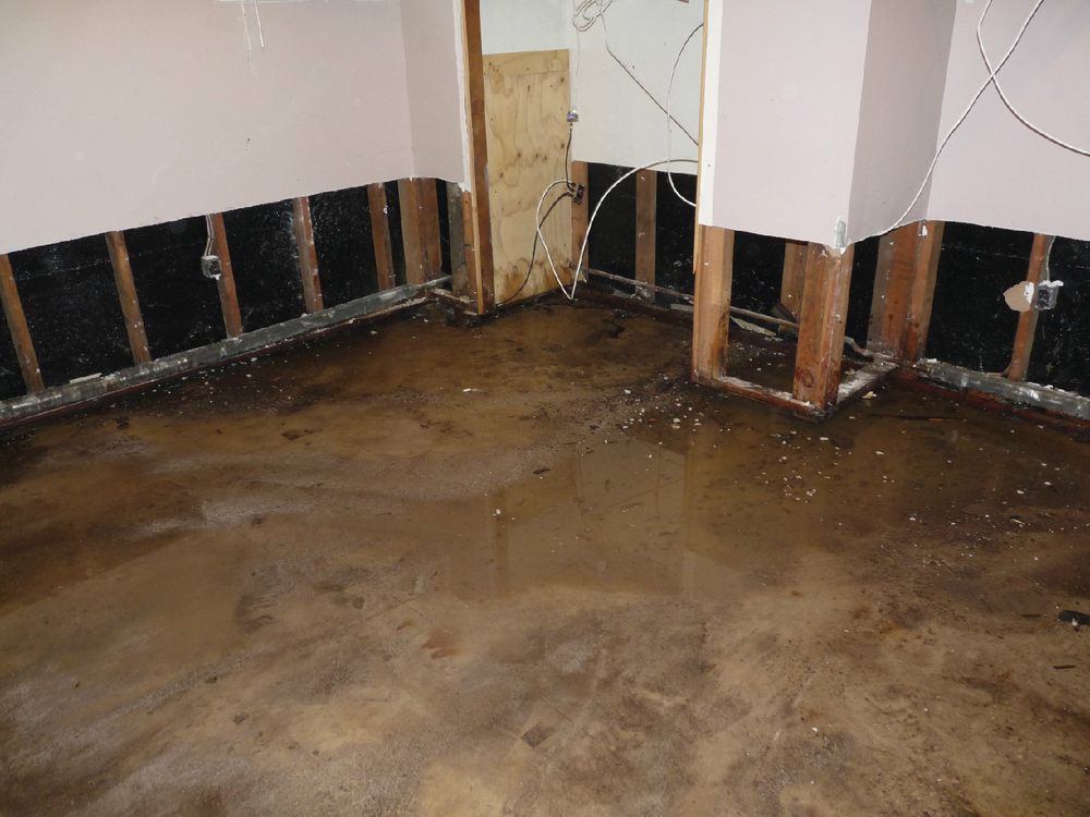 White Glove Remediation and Restoration - mold inspector in Orlando, FL