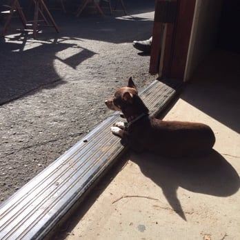 Cowboy Canyon Winery - Bring your dog for the fun! - Wineries Near Me - Silverado, California