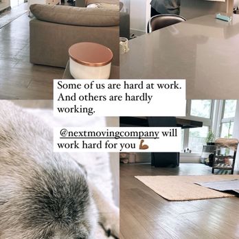 Next Moving Company - They were also very sweet with my dog, he didn't get disturbed! - Movers Near Me - Pasadena, California