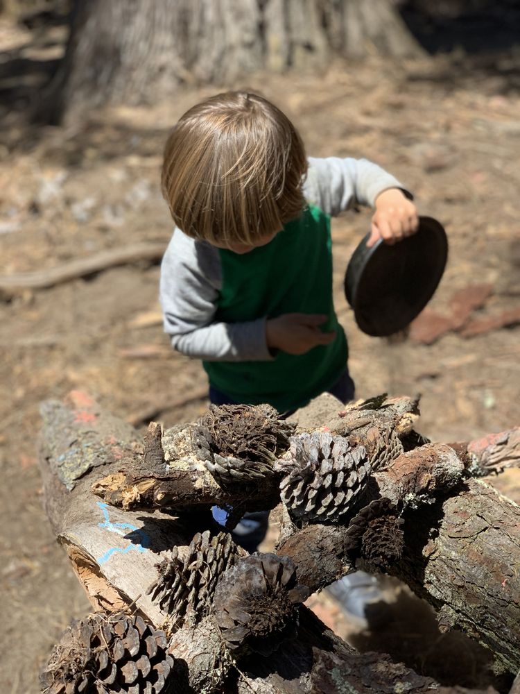 Forest Play Preschool - childcare center in San Francisco, CA