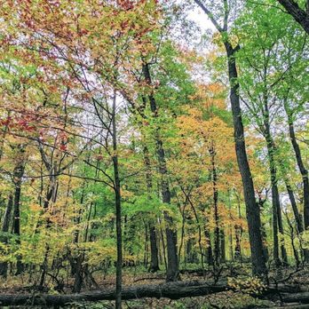 Lake Maria State Park - Parks Near Me - Monticello, Minnesota