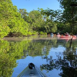 Desoto Kayak Tours - Kayaking with group