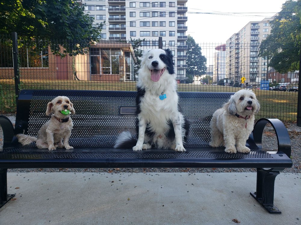 ELLSWORTH PARK Updated June 2024 49 Photos & 26 Reviews 621 Ellsworth Dr, Silver Spring