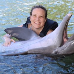 Dolphin Quest