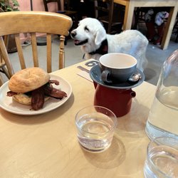 Laughing Dog - This beautiful boy came over to visit when he smelled bacon