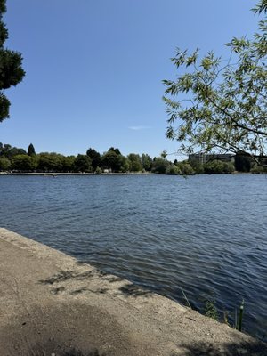 Green Lake Park by null