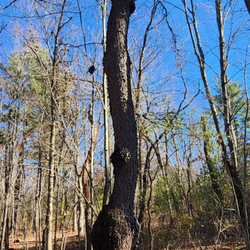 Mirror Lake State Park