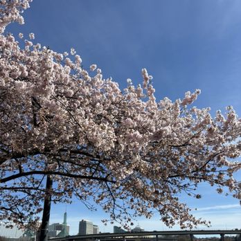 TOM MCCALL WATERFRONT PARK - Updated January 2026 - 917 Photos & 177