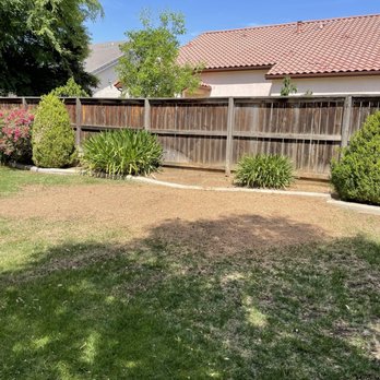 Tree Maniac Tree Service - Tree Services Near Me - Fresno, California Tree Maniac Tree Service - Tree Services Near Me - Fresno, California