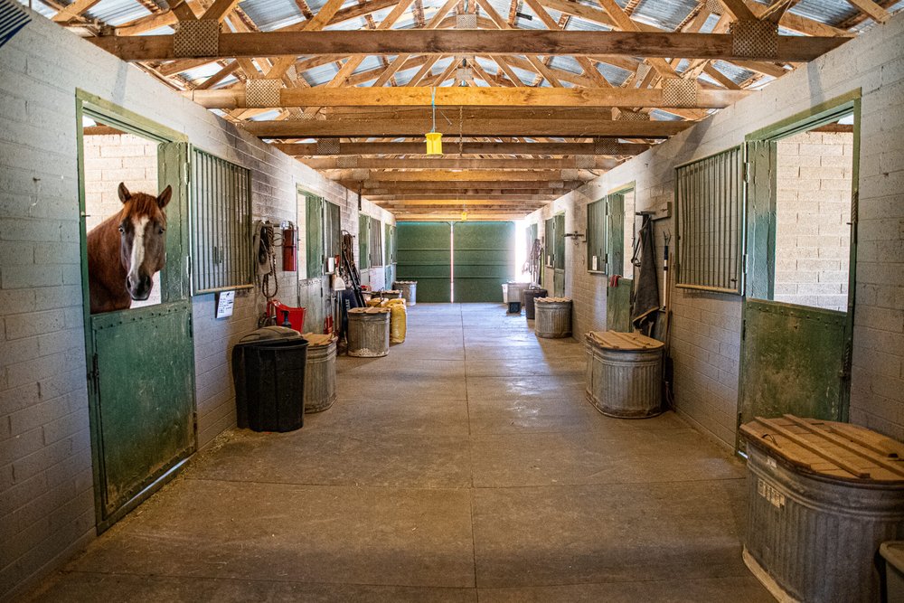 Granite Mountain Stables Logo