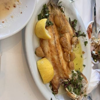 Manchego - branzino/garlic and fresh herbs - Spanish Near Me - Santa Monica, California