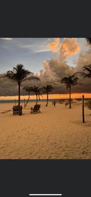 Undertow Beach Bar by null