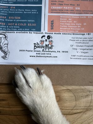 The Boozy Mutt by null