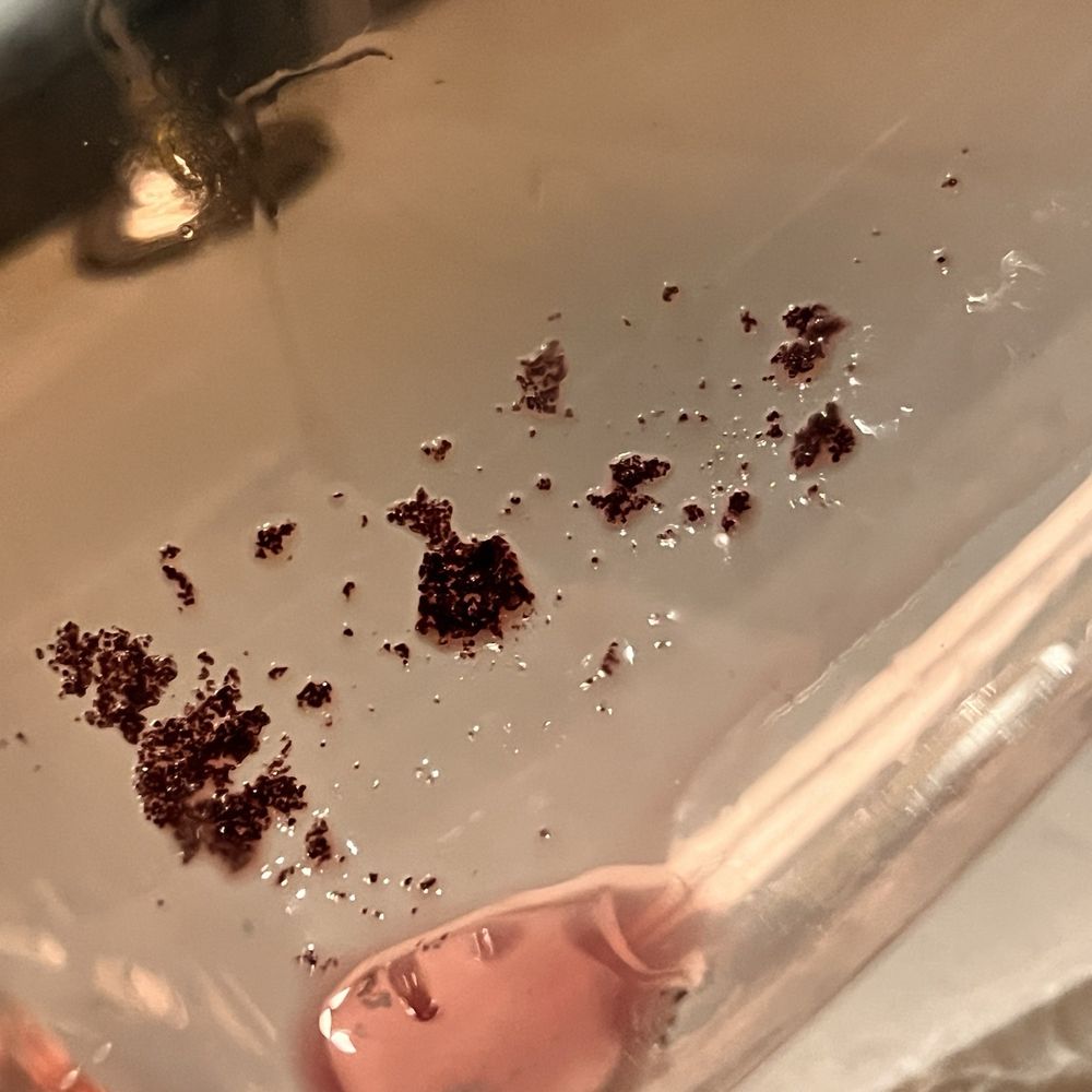 Sediment from wine Sediment from wine