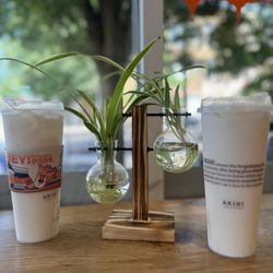 Akihi - Peppermint Jasmine Milk Tea