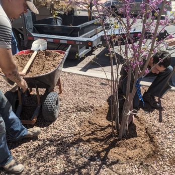 R&R Deliveries - Tree Services Near Me R&R Deliveries - Tree Services Near Me