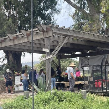 Pixca farm - Pixca farm stand - Pick Your Own Farms Near Me - San Diego, California Pixca farm - Pixca farm stand - Pick Your Own Farms Near Me - San Diego, California