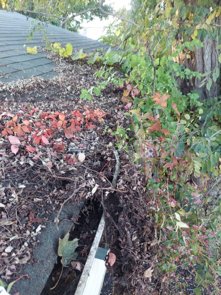 Slide of Quality Mend and Maintenance